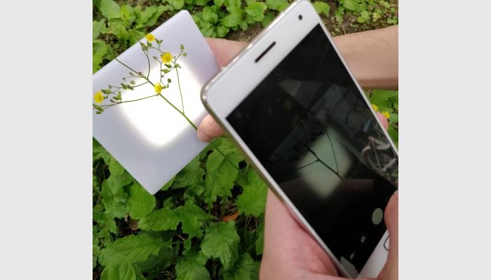 油菜、樹枝等的分枝角、水稻小麥等的莖葉角是作物表型基本參數，其人工測量獲取工作繁重。萬深SC-K1型植物分支角自動測量儀利用機器視覺智能識別技術來自動批量化獲得精準的枝角測量結果，為育種選材提供依據。